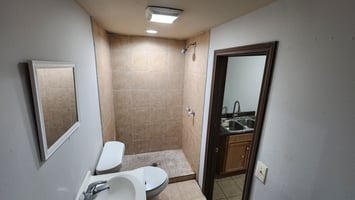 29955056