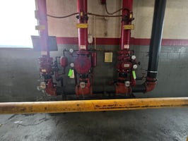 29882867