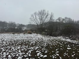 29897872