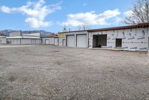29917450