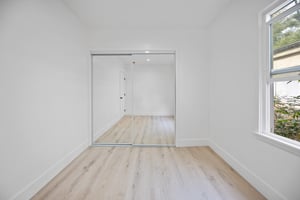 31649561