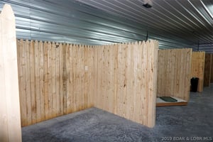 29923447