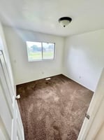 29926005