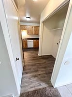 29926011
