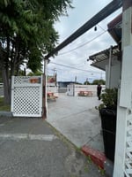 31783501