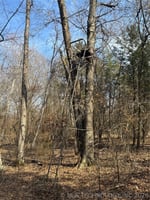 29932558