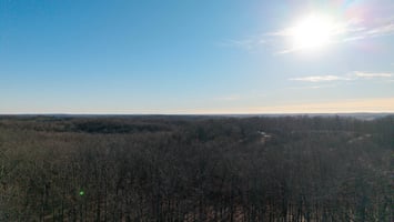 29935224