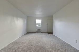 29943557