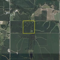 29946404