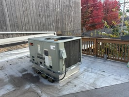 29950698