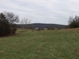 31766424