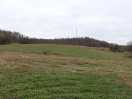 31766408