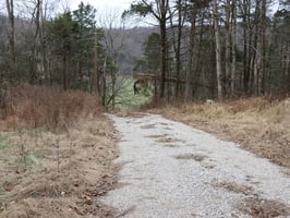 29952846