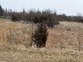 29958278