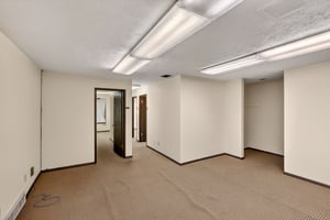 31395520