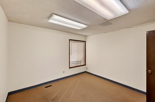 31395503