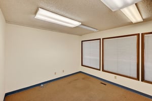 31395504
