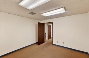 31395502
