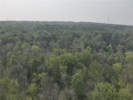 29964157