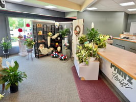 32437928
