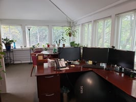 29965204