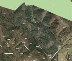 29965457