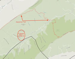 29965463