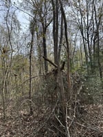 31386678