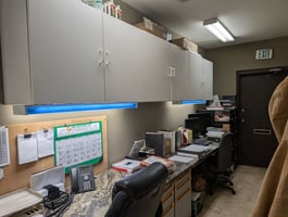 29967254
