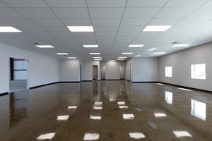 29975517