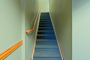 29976381