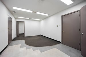 32395593