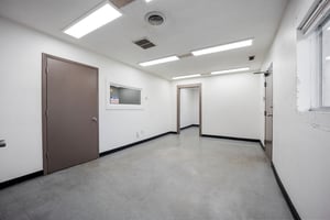 32395588