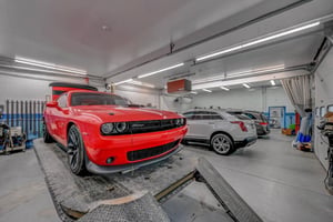 29981606
