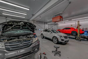 29981610
