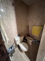 31684601