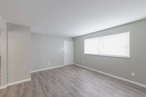29995287