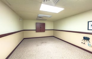 32317818