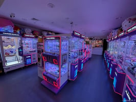 30003074