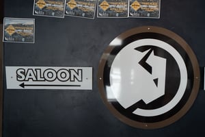 30013223