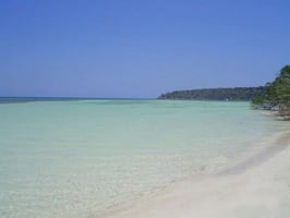 30106595