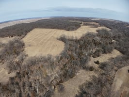 30017017