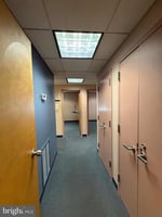 32781173