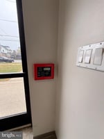 32781203