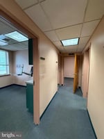 32781139