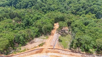 30029213