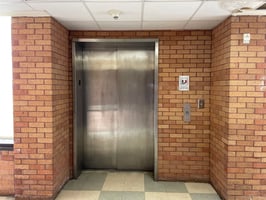30029596