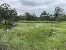30032005