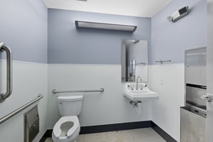 30036079