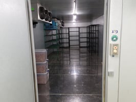 30084957